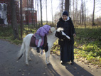 Александро-Невский женский монастырь. Занятия с детьми иппотерапией
